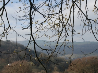 Catover-valley1-
