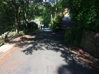 IMG-3063